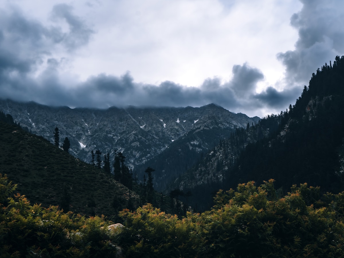 River bends