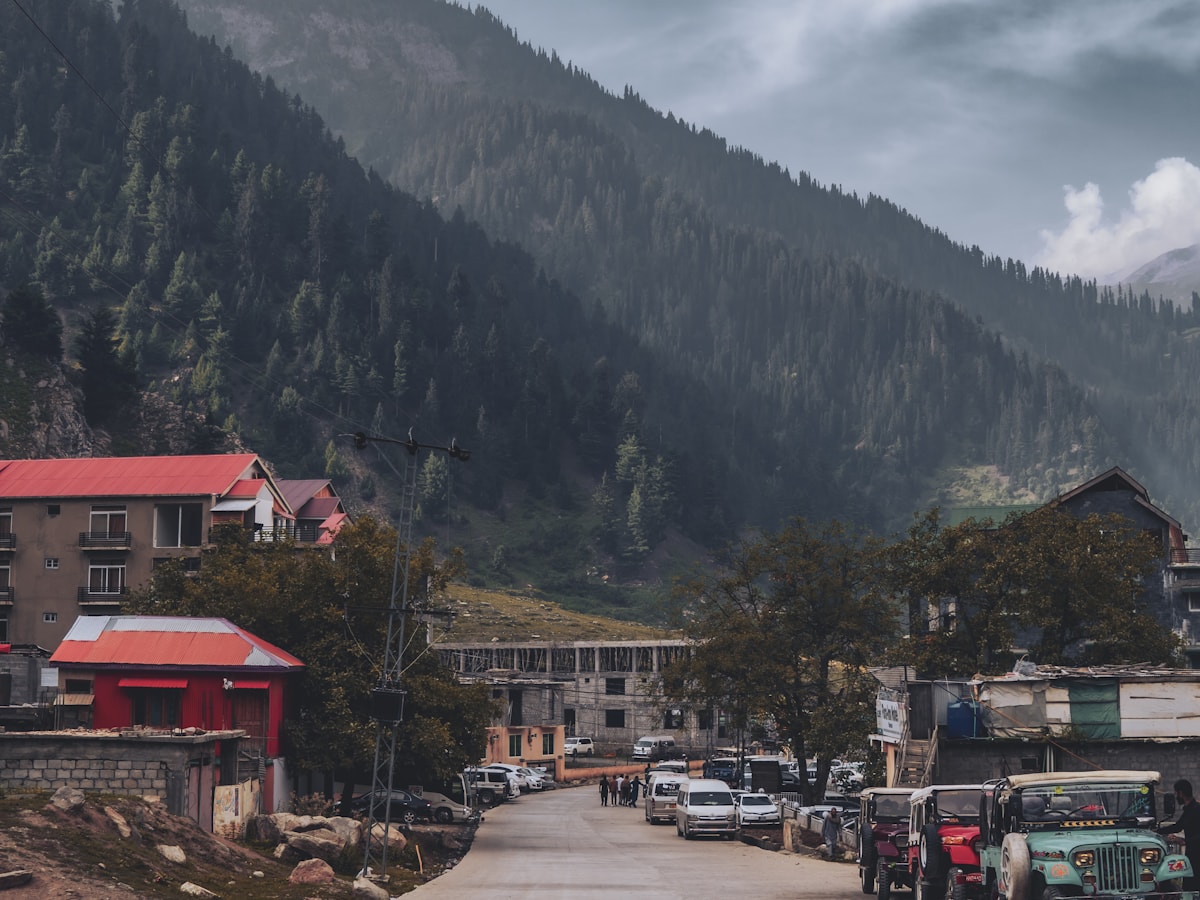 Roadside mountain life