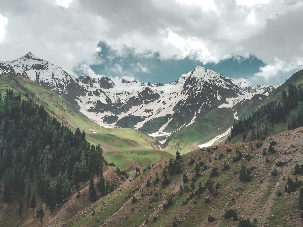 Snow peaks in the distance