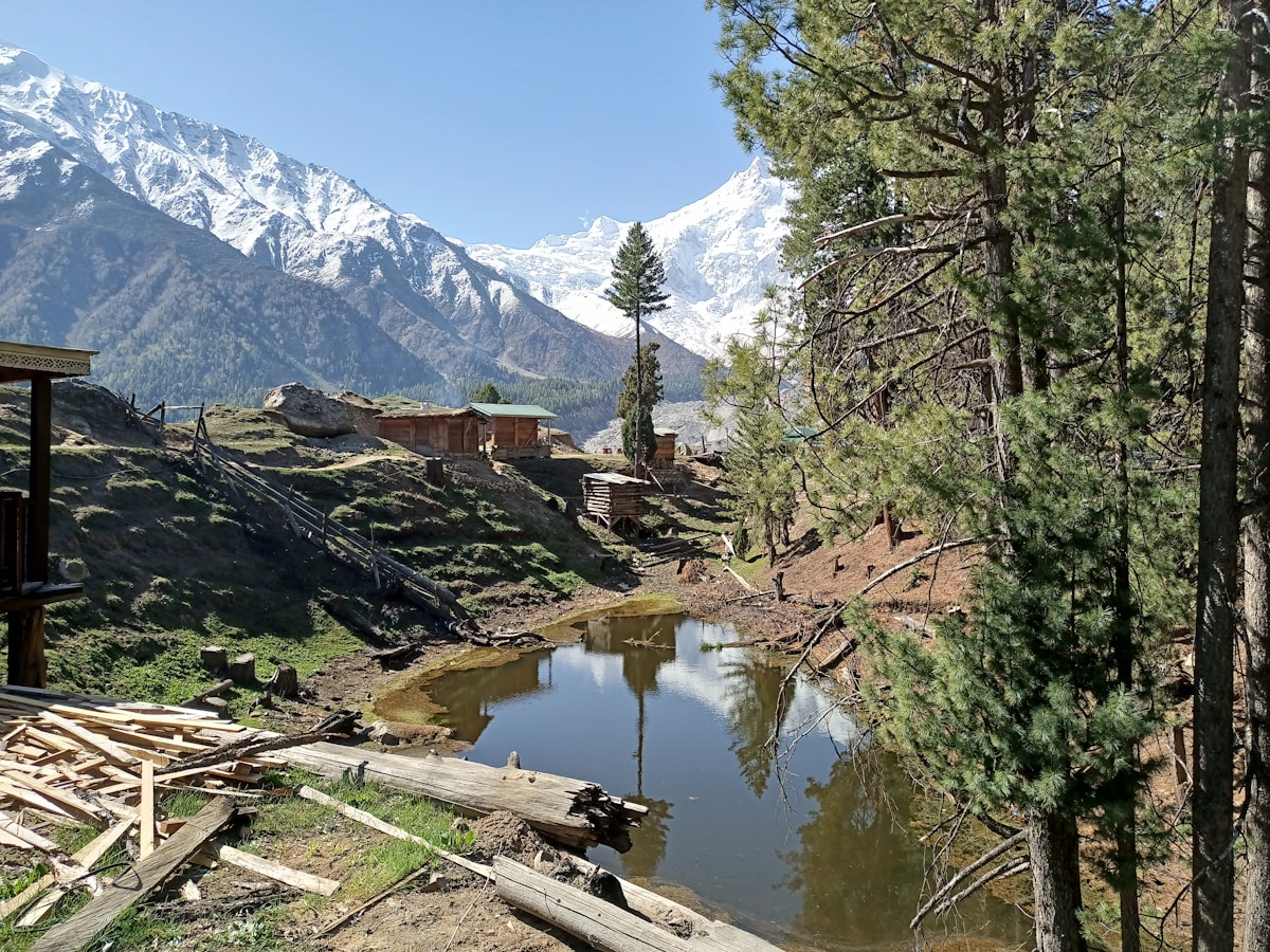 Reflections in the wild